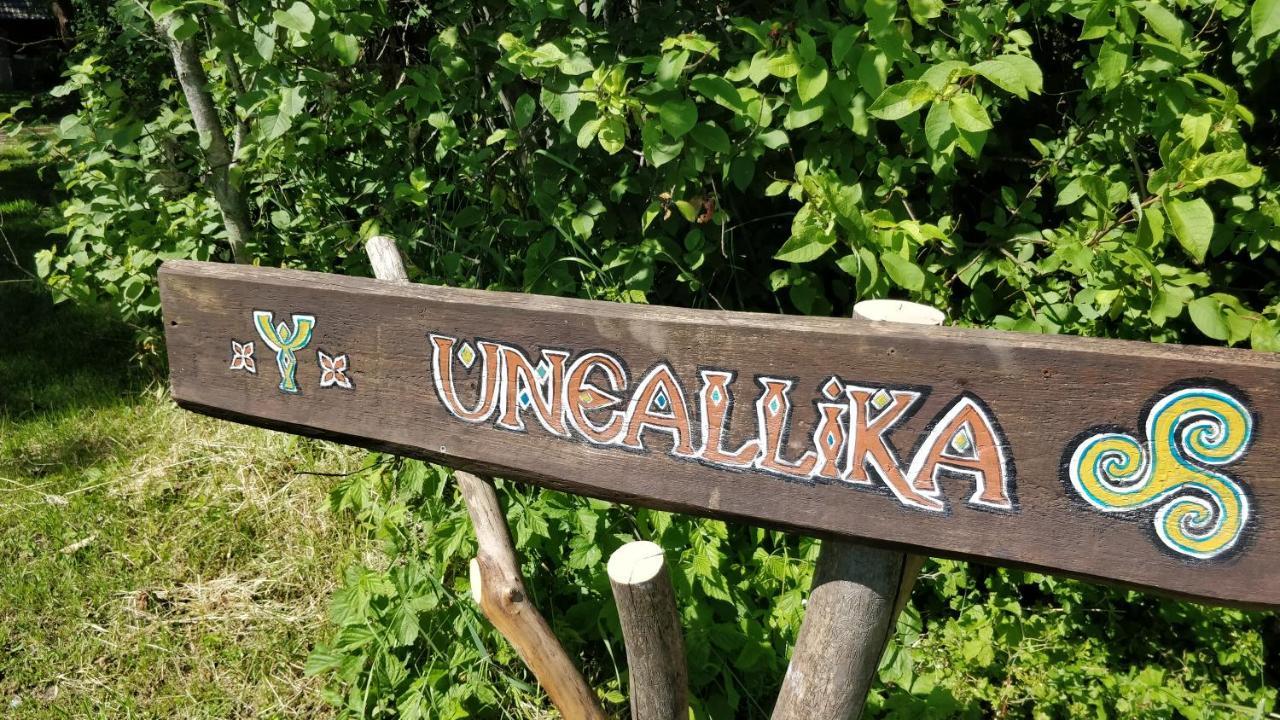 Uneallika Puhkemaja-Kuelalistemaja Pae 외부 사진